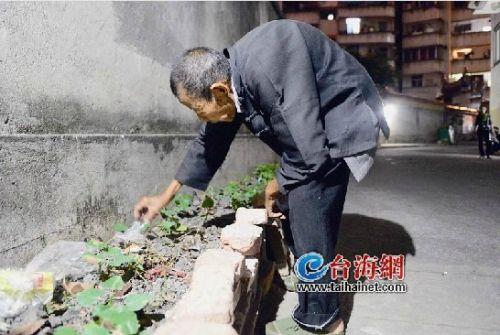 漳州市区一86岁老人街边卖菜 称想自力更生