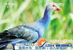 骄傲！这些厦门元素频频亮相央视新闻 你认得吗