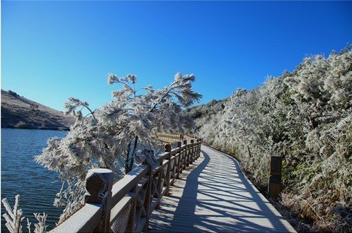 福州四大冬季看雪去处(组图)