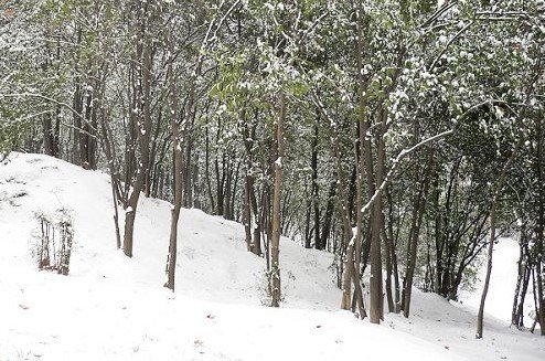 福州四大冬季看雪去处(组图)