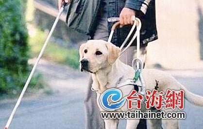 5月1日起有视力障碍旅客可携带导盲犬乘坐火