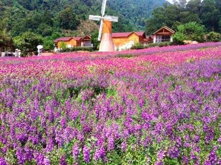 彩虹花田中放风筝盘龙峡十一游戏儿童攻略英语游玩通关图片