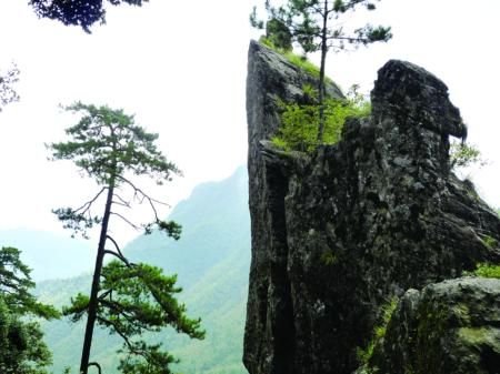 浦城有多少人口_浦城仙楼山图片(2)