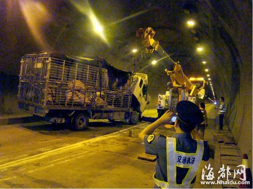 运猪货车高速侧翻图片