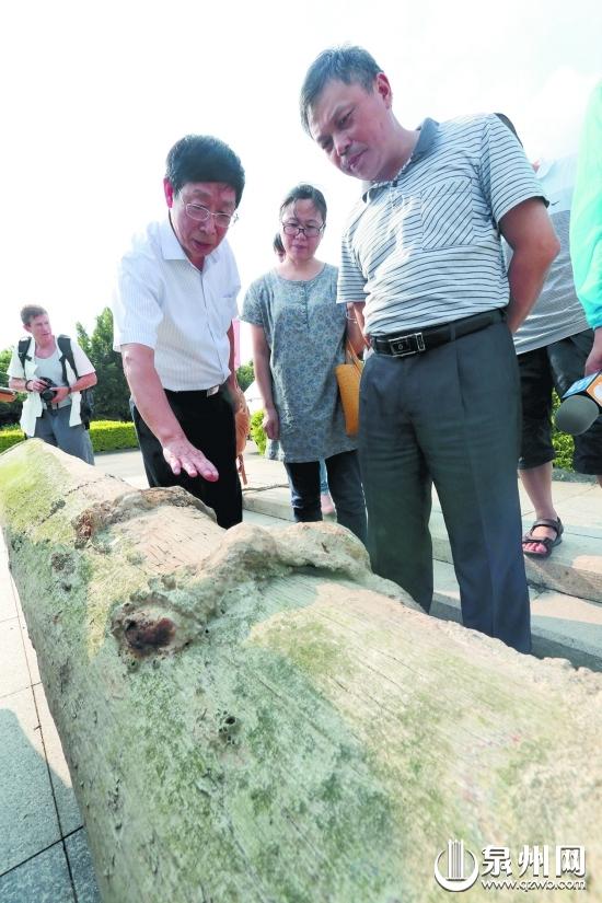 泉州捞出古船桅杆 被确认为国家三级珍贵文物-图片版权归原作者所有