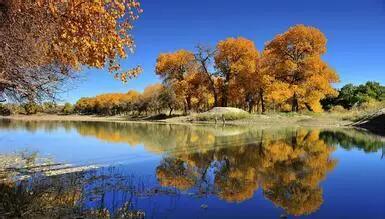 福州11月要发生这么多大事 和每一个人都有关