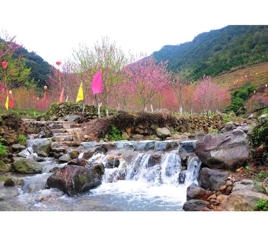 第三届中国(永春)北溪桃花文化旅游节开幕