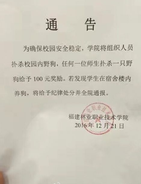 福州一高校发通告:师生扑杀校内野狗奖励100元