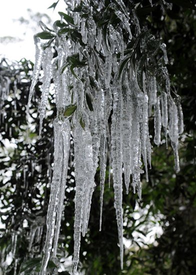 福州四大冬季看雪去处(组图)