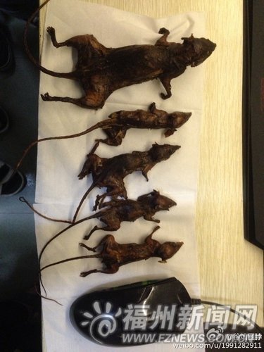 大学生发帖称宿舍抓老鼠下酒 原系玩笑是特产_大闽网_腾讯网