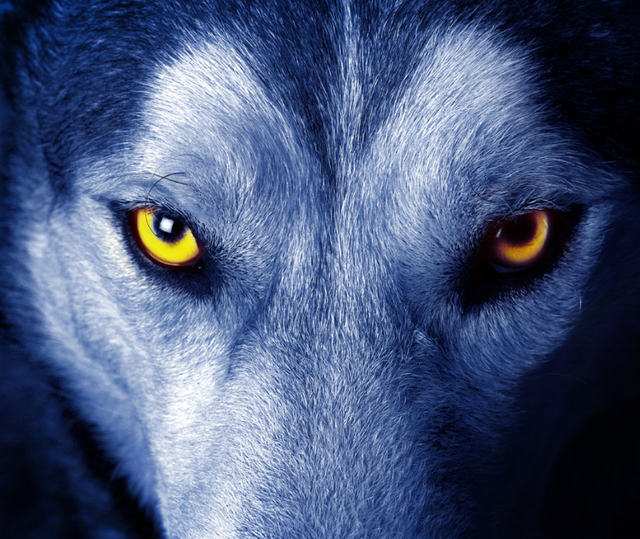 不死的癌症:红斑狼疮