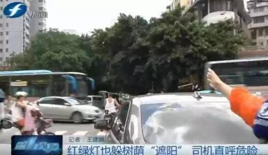 福州一路口信号灯隐蔽找不到 司机直呼危险