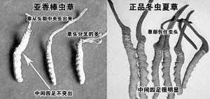 澳海董事长赵庆才简历(3)