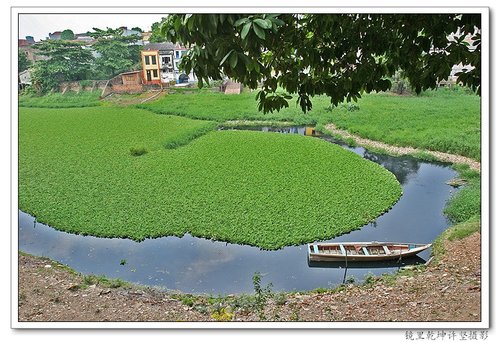 世界景观排名_世界景观排名前十图片(2)