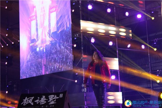 2017纵联枫语墅之夜频道落幕圆满演唱_群星和边户中户联排别墅图片