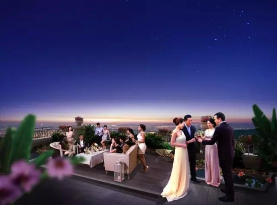 碧桂园 到底给阜阳带来了什么?_频道-阜阳