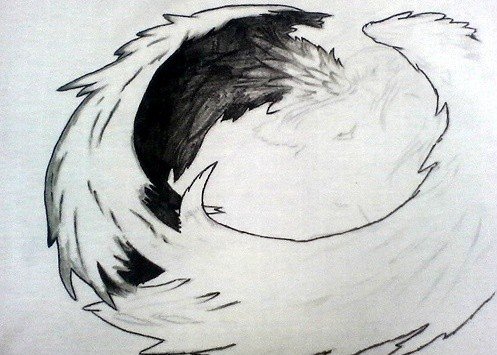 玩家巧手制作大翅膀AIONT恤_综合经验