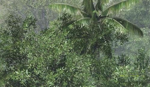 全球最大的游戏场景截图:一张图1G多