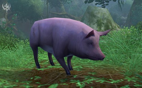EA《战锤OL》新版上市 新增狩猎活动