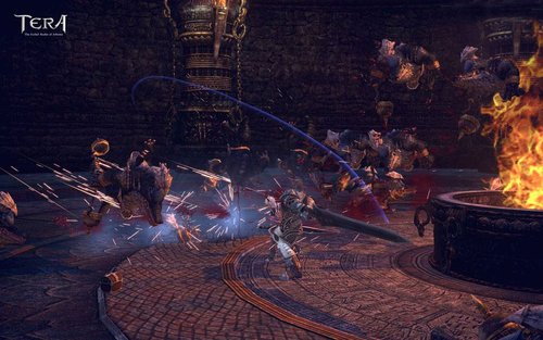 次世代大作《TERA》一测日程确定(图)