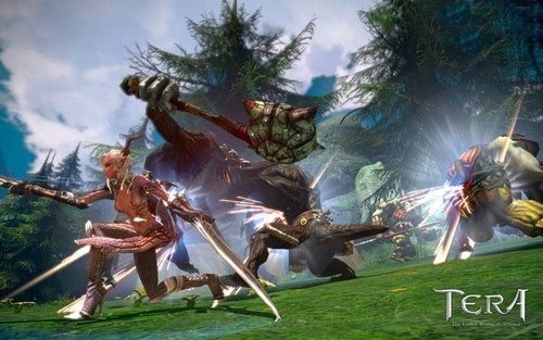 次世代大作《TERA》一测日程确定(图)