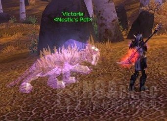 说明:这只灵魂兽是3.2patch新添加宠物.和老虎