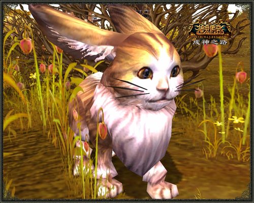 人与动物《神鬼传奇》宠物情缘活动_05新版首