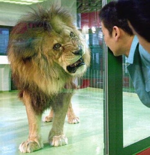 《吞食天地2》抓貂蝉12星座占有欲_05新版首