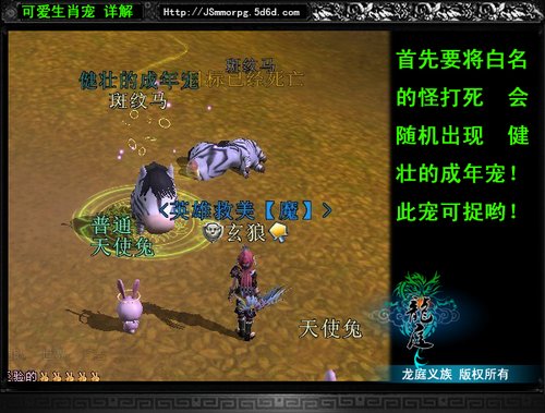 稀有宠物捕捉方法外泄 一夜风靡西游