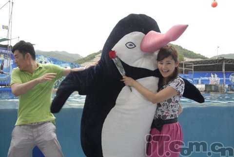 姚晨2010新剧《和空姐一起的日子》MP4下载