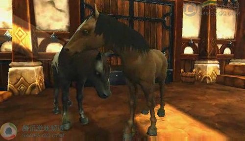 公开马匹管理及交配视频