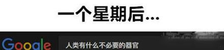 洋葱新闻：男子开挖掘机抢银行 90后女孩网上求包养