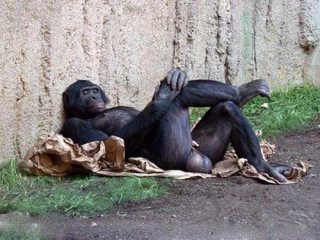 洋葱新闻:与时俱进的人才