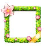 ��������ܡ��񻶿��ܽ�3��24�տ��� Ҫ�ľ��ǡ���