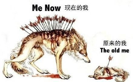 洋葱新闻:只要思想不滑坡 办法总比困难多