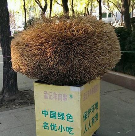 洋葱新闻:只要思想不滑坡 办法总比困难多