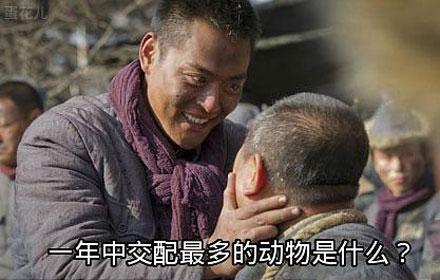 洋葱新闻：受人欢迎的四句话