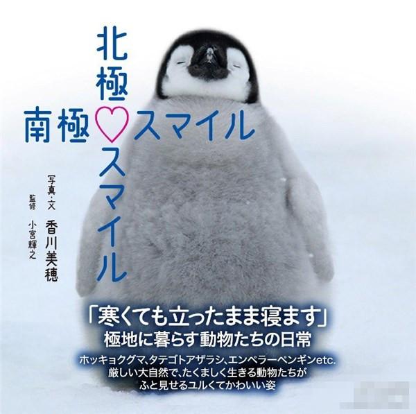 �Ķ����Ȼ��ˣ�ʷ��������ϵд���ߺ� 
