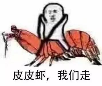 皮皮虾我们走 怎么火的?竟源自PDD…