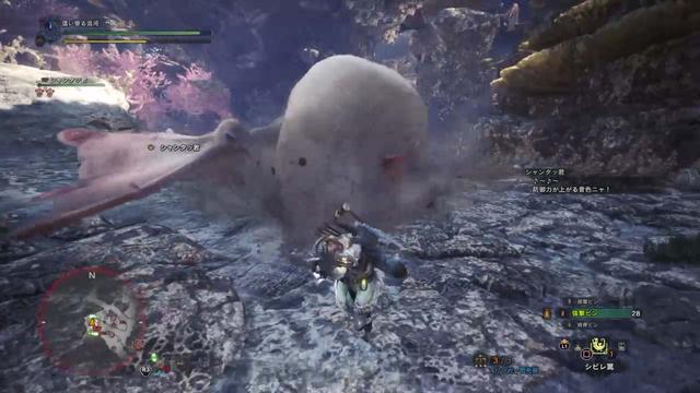 PC端怪物猎人世界,浮空龙狩猎手柄攻略