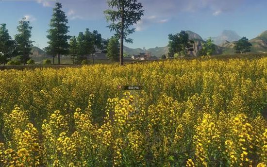 持刀赏月走天涯 天涯明月刀OL游戏试玩报告