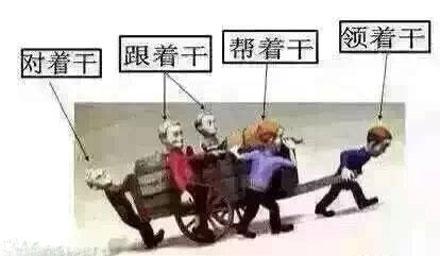 洋葱新闻:一张手纸看透人生