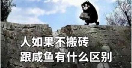 洋葱新闻：男子开挖掘机抢银行 90后女孩网上求包养