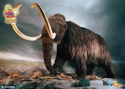 λõʿᡷϦ“”ع