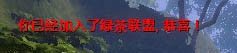 义盟系统介绍