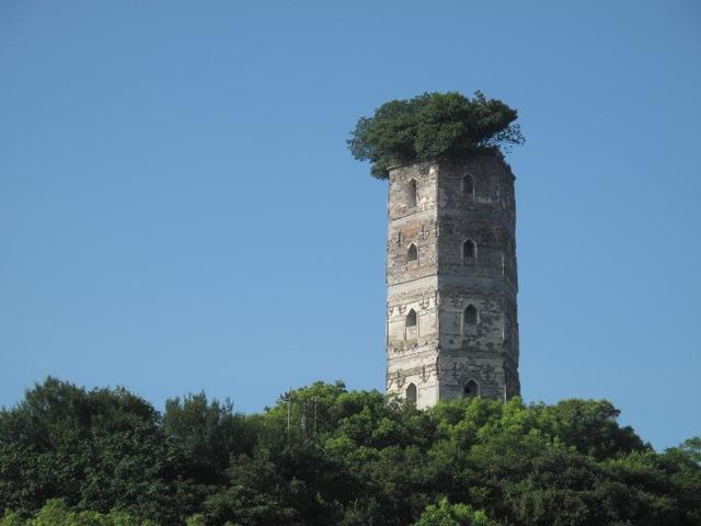 尾田来过中国?海贼王作者证实一场景取自温州