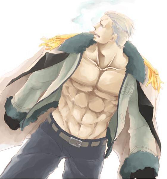 海贼王十大最帅气的恶魔果实能力者