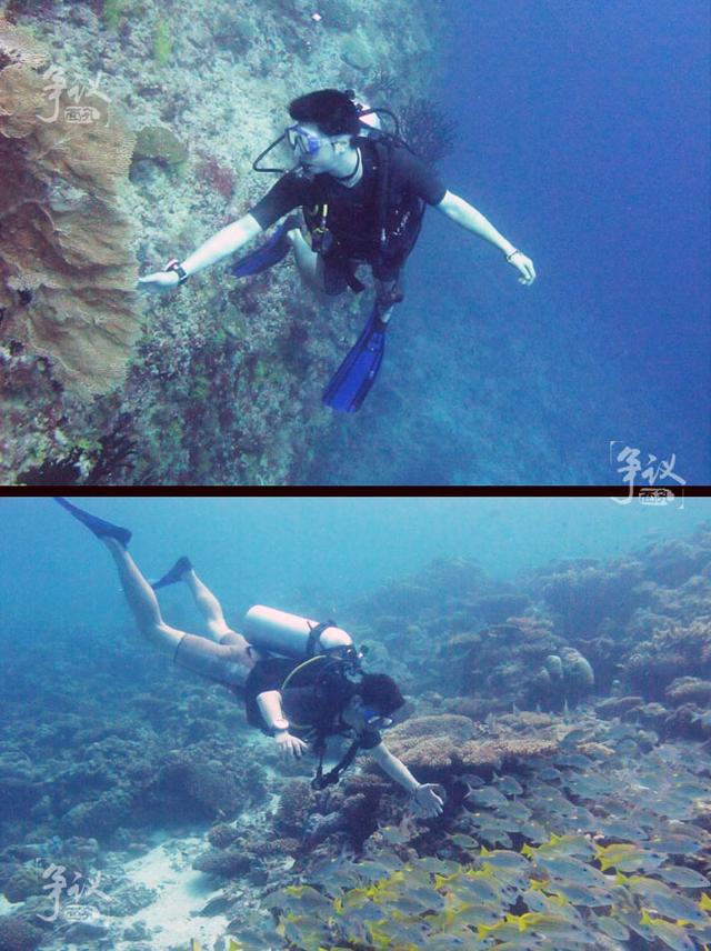 应书岭:我不是高调,我只是没时间低调