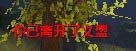 义盟系统介绍