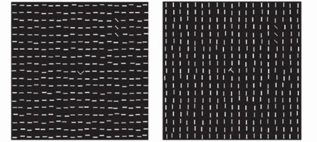 美国布朗大学:研究显示游戏玩家具有更佳认知能力
